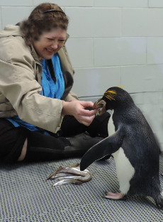 Karen and another potential client